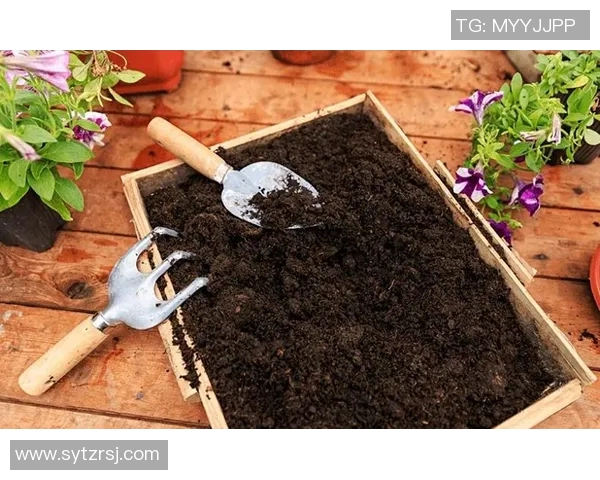 花卉种植技巧与经验分享：从土壤选择到日常护理的全面指南